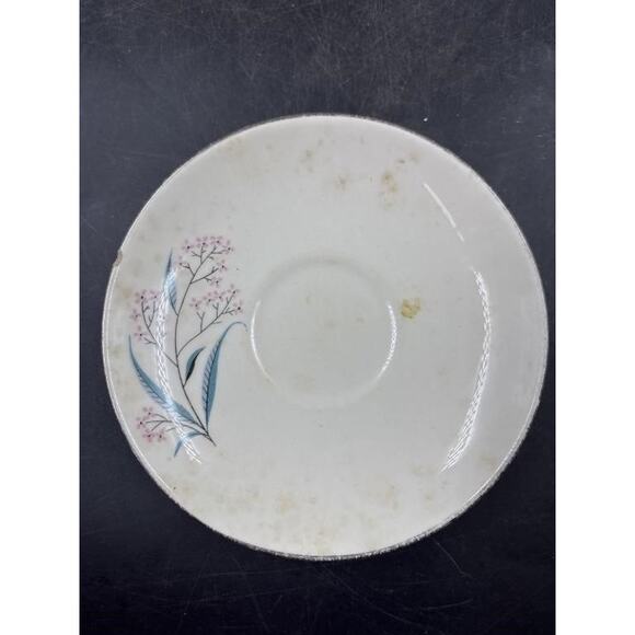 Alliance China Co. Regal Hand Decorated China Set - Platinum Rim -Chip on Saucer - Picture 2 of 16